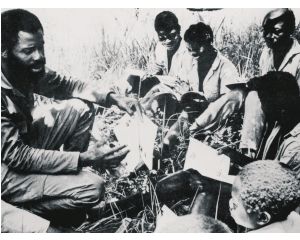 Depois de Angola e da Guiné, é a vez da luta armada se iniciar em Moçambique